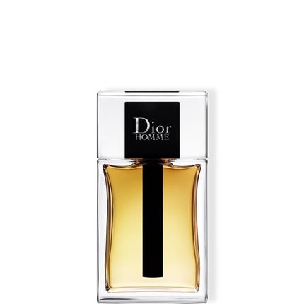 Dior Homme Eau de Toilette 100 ml Parfum Duft