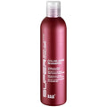 SBC Care Shampoo 250 ml Haarpflege