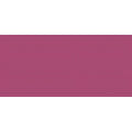 Dr Hauschka Caring Lippenstift 03 Camellia 41 g Make-up