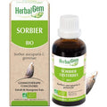 Herbalgem Organic Mountain Ash 30 ml Körperöl Körperpflege