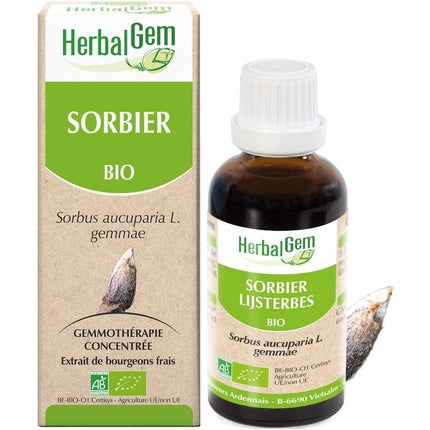 Herbalgem Organic Mountain Ash 30 ml Körperöl Körperpflege