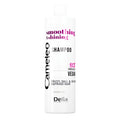 Cameleo Vegan Shampoo For Dull And Frizzy Hair 400 ml Haarpflege