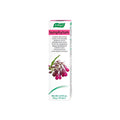 A Vogel Vogel Symphytum Creme 35 g Hands Feet